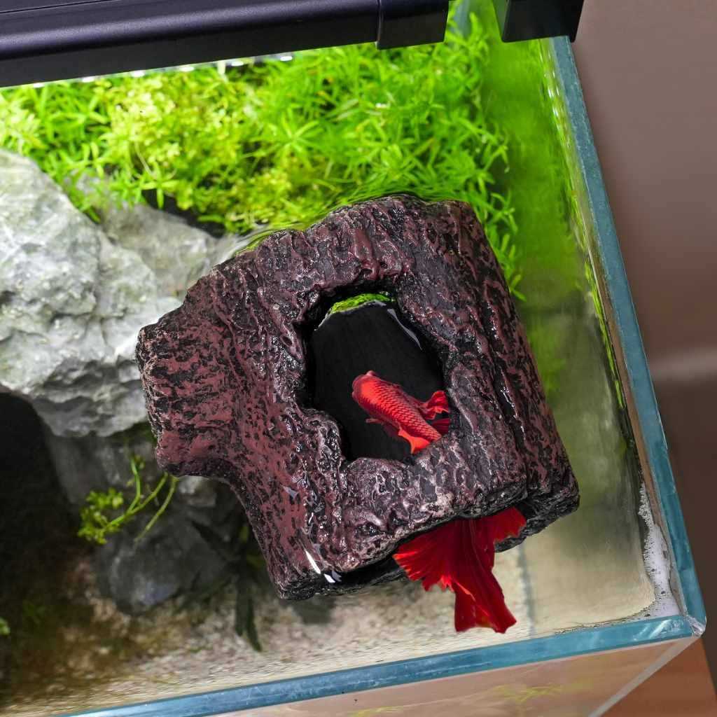 Betta Floating Log G559727