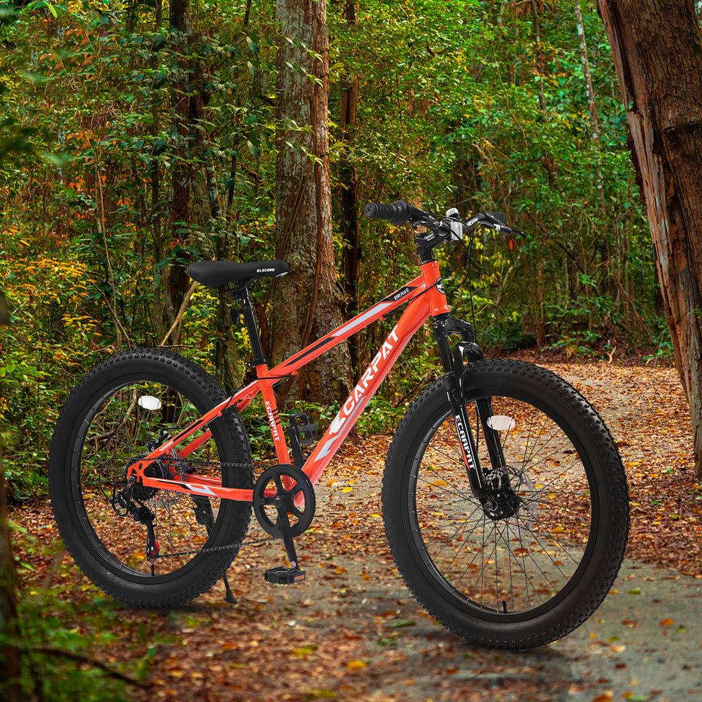 24" Mountain Bike with Shimano 7 Speeds Suspension Steel Frame S674