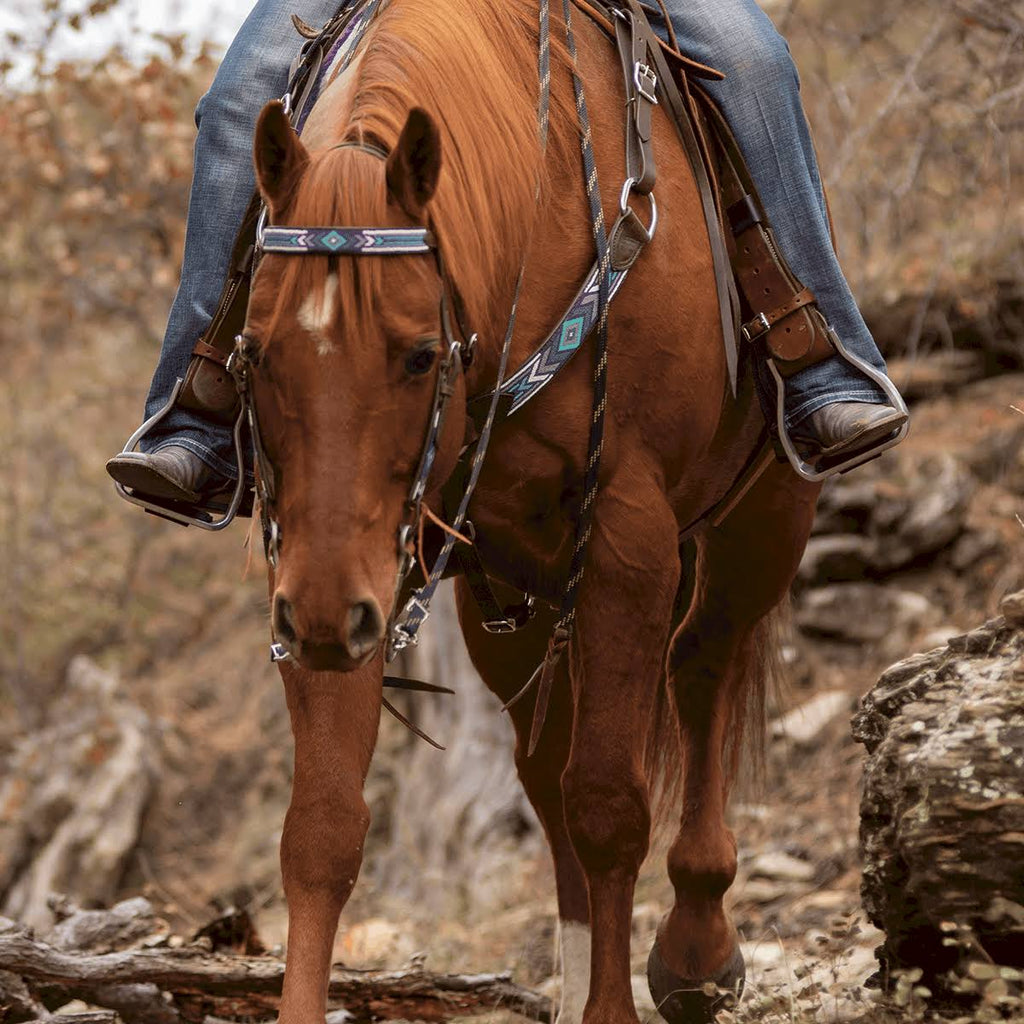 Taos Beaded Browband Headstall C7802