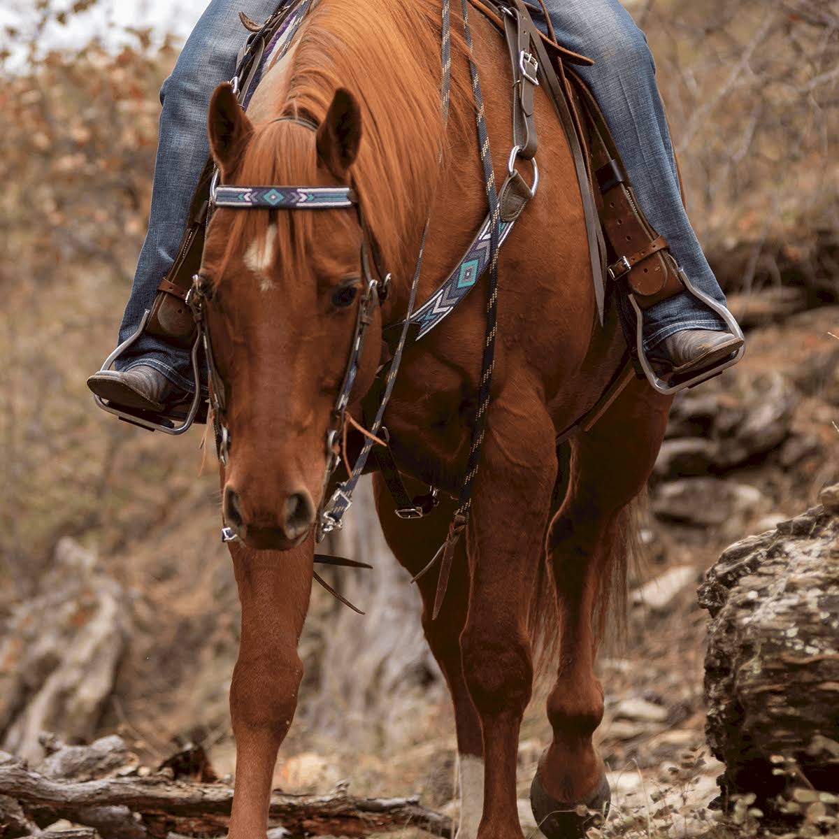 Taos Beaded Browband Headstall C7802
