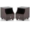 Walnut Wood Storage End Table Set of 2 Q263