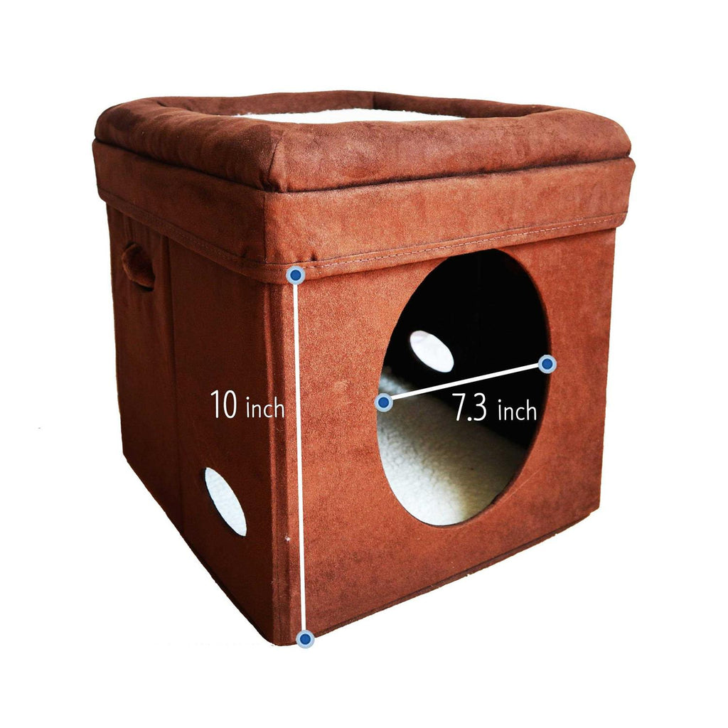 Curious Cat Cube G9731