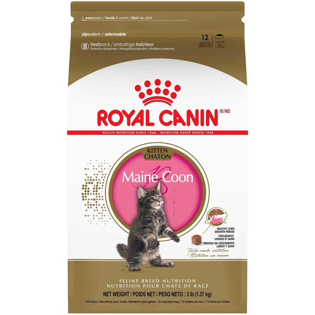 Maine Coon Kitten Dry Cat Food G294523