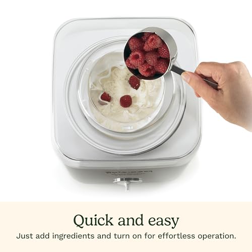 Ice Cream Maker 2-Qt Silver O94089