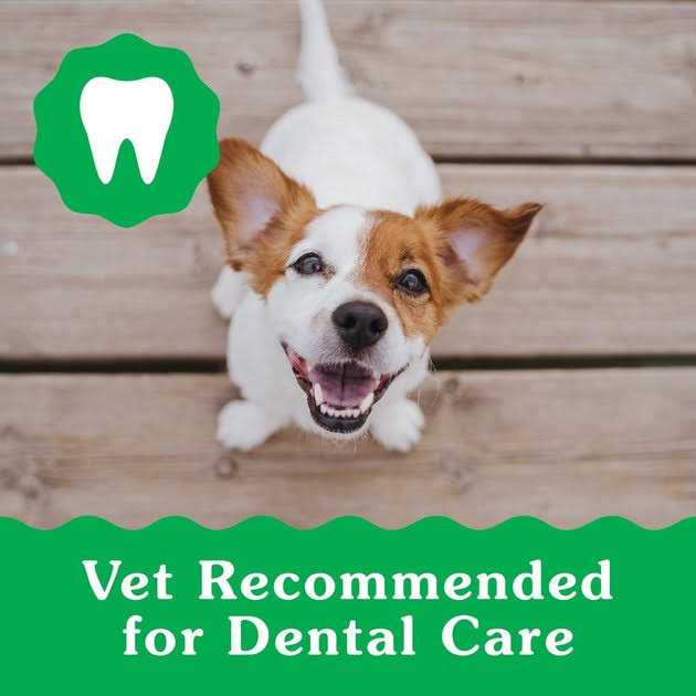 Puppy Dental Dog Treats K56141
