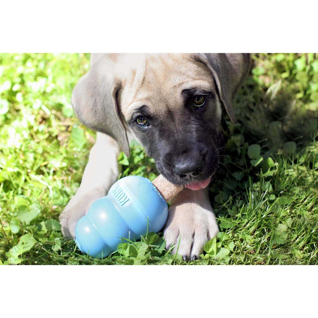 Pet Supplies W91481
