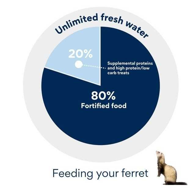 Ferret Soft Treats R978407