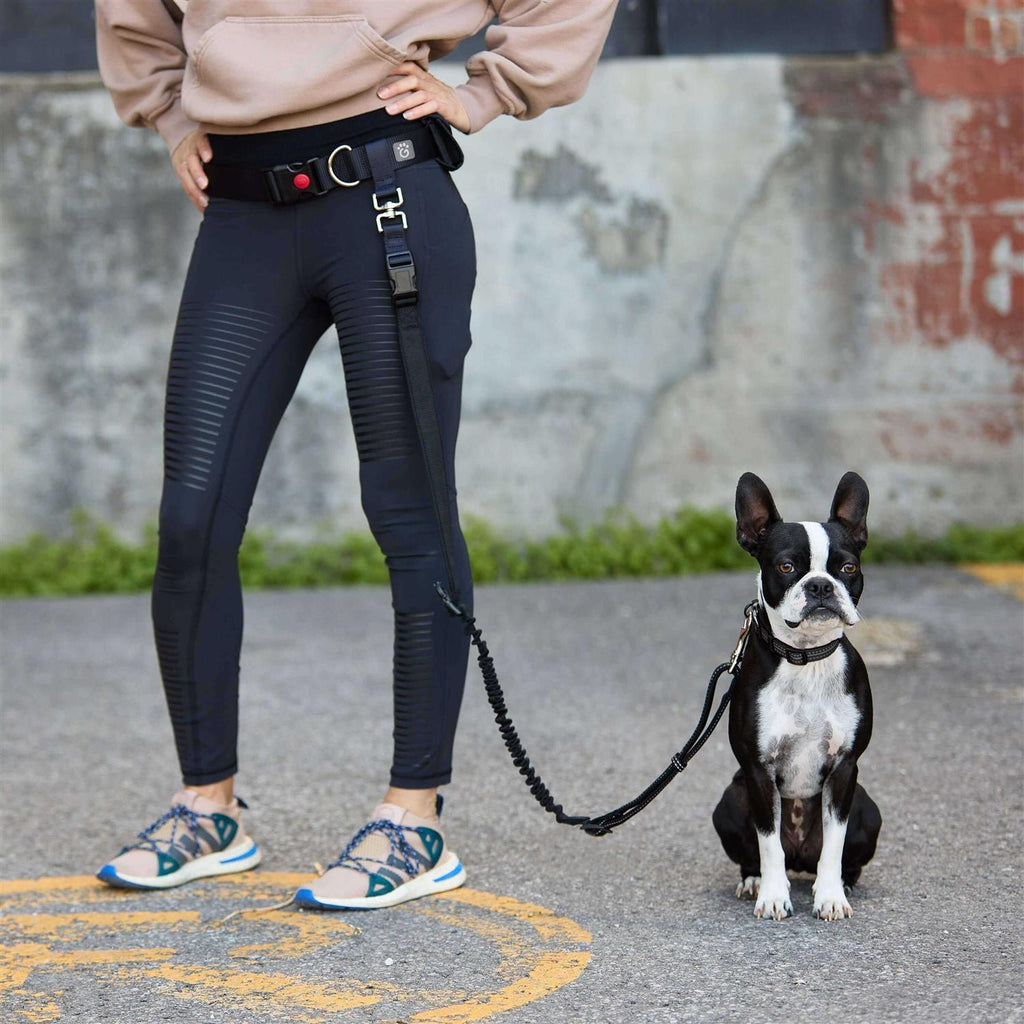 Pet Waist Belt & Bungee Leash D471