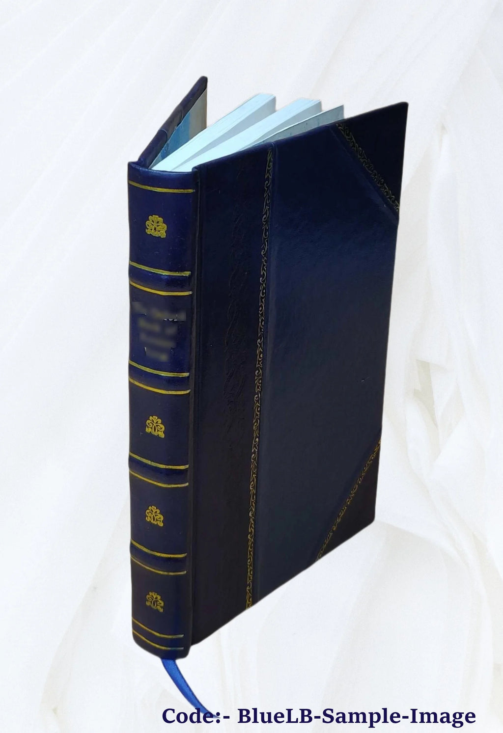Leather Bound Book V896328