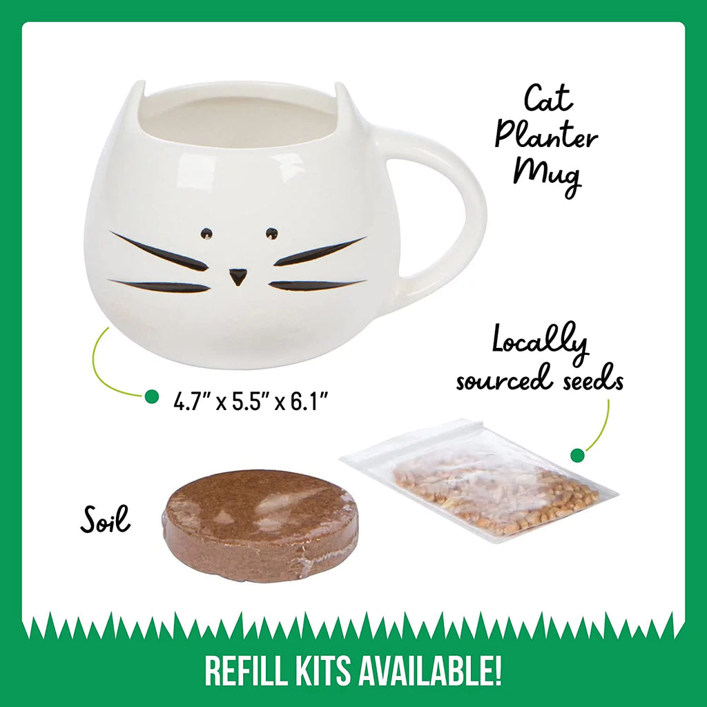 Organic Cat Grass Kit with Seed Mix and Soil Q324976