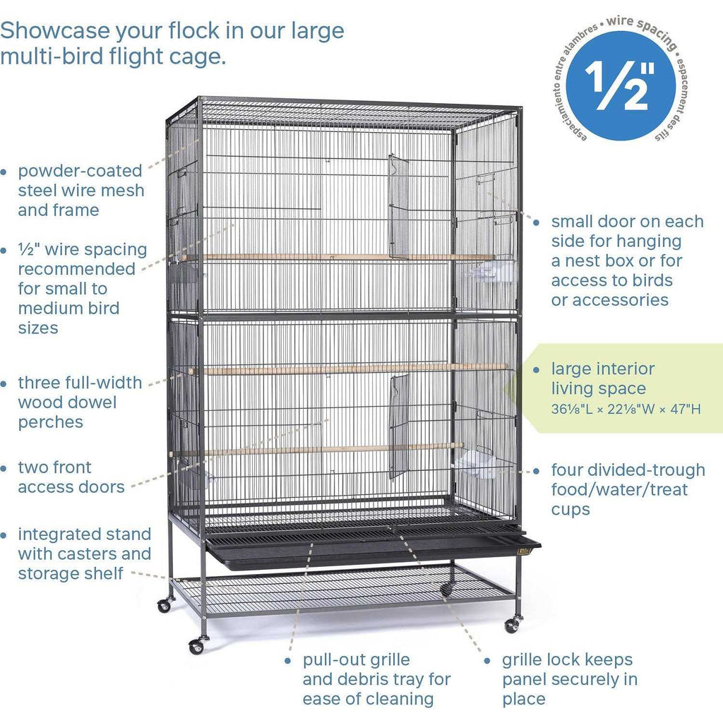 Bird Cage I559