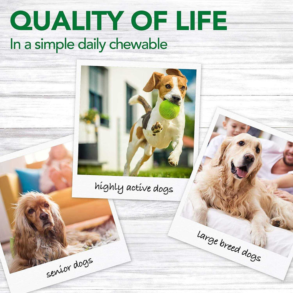 Dog Supplement O29231