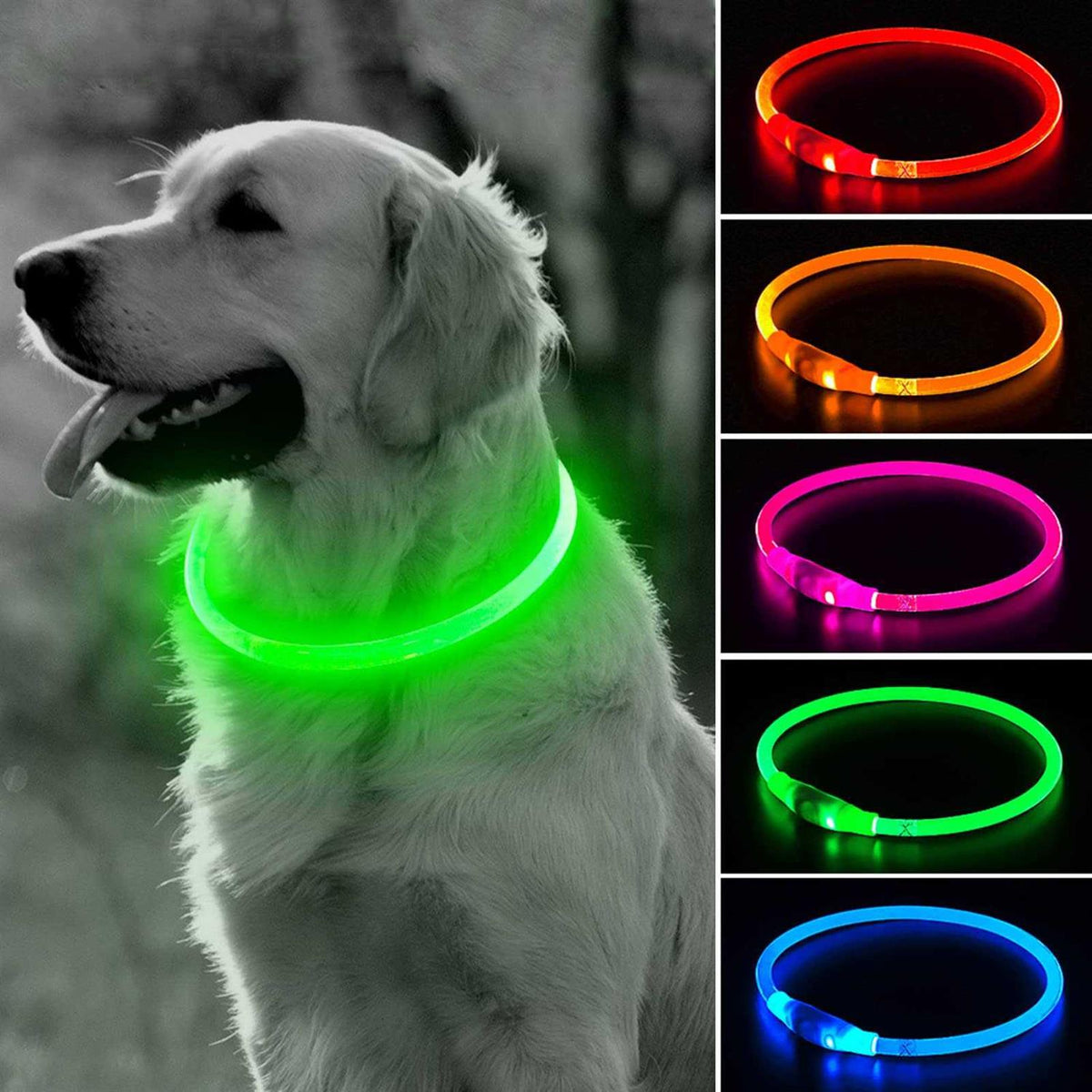 Rechargeable LED Dog Collar B921