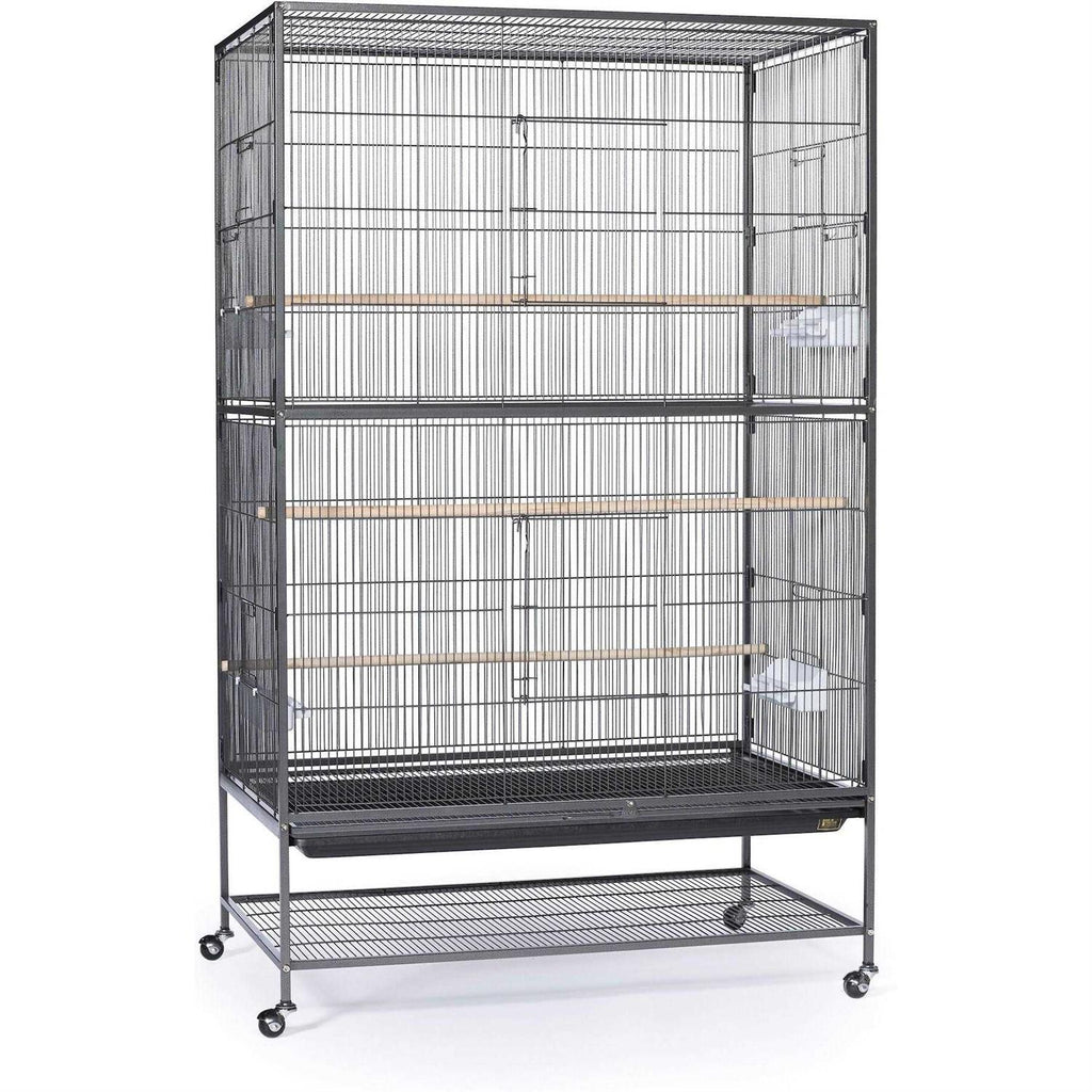 Bird Cage I559