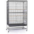 Bird Cage I559