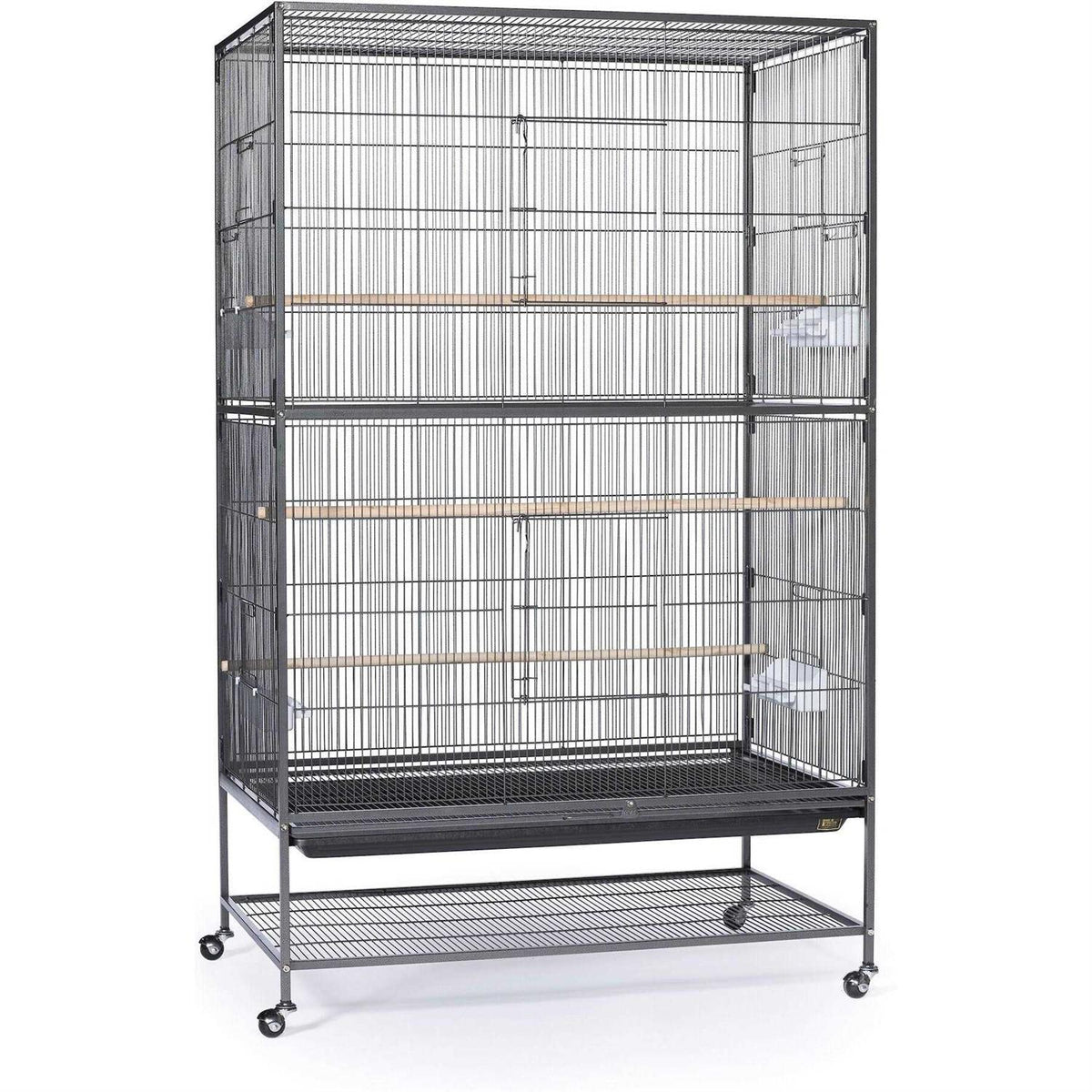 Bird Cage I559