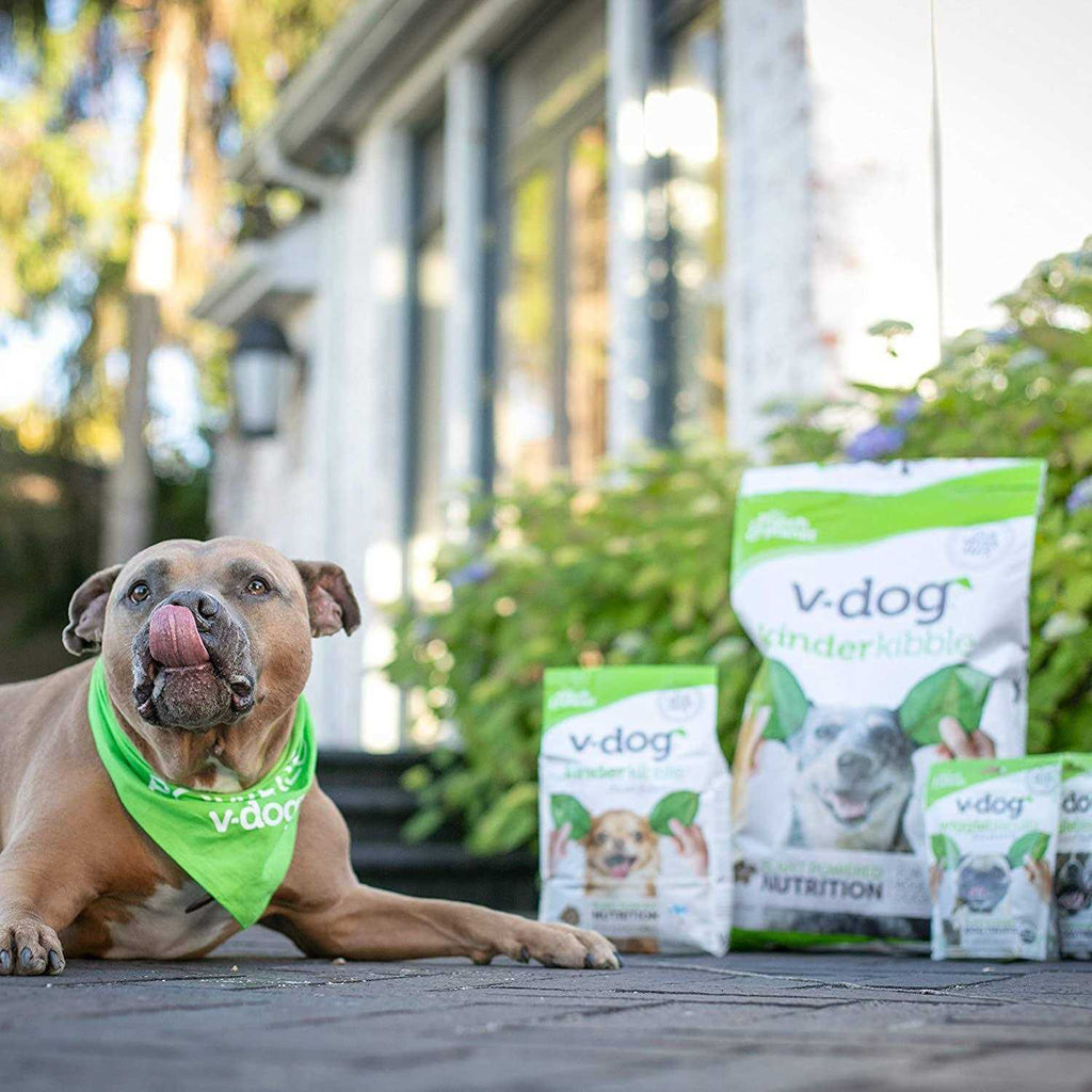 Vegan Dry Dog Food D145940