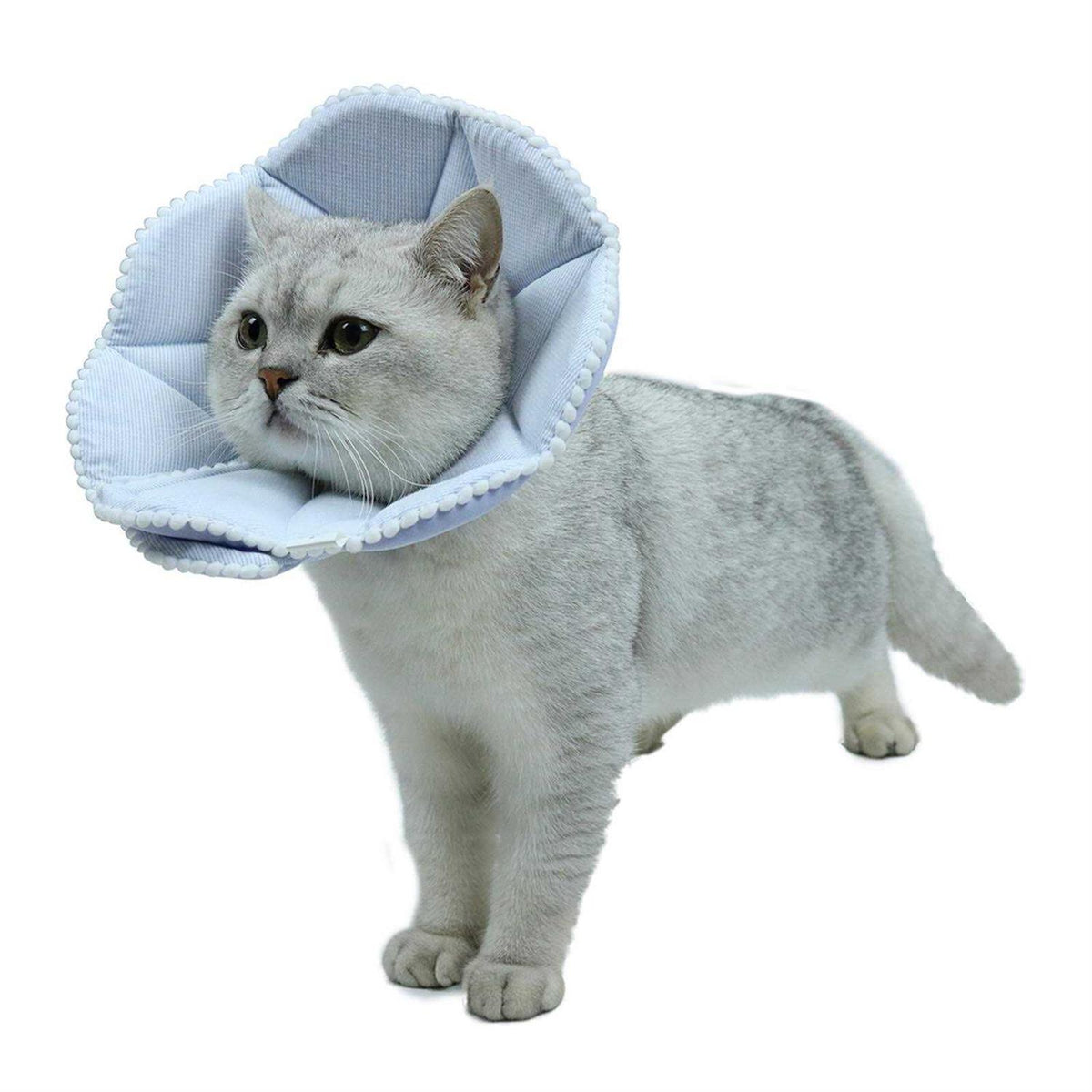 Soft Adjustable Cat Recovery Collar E9122