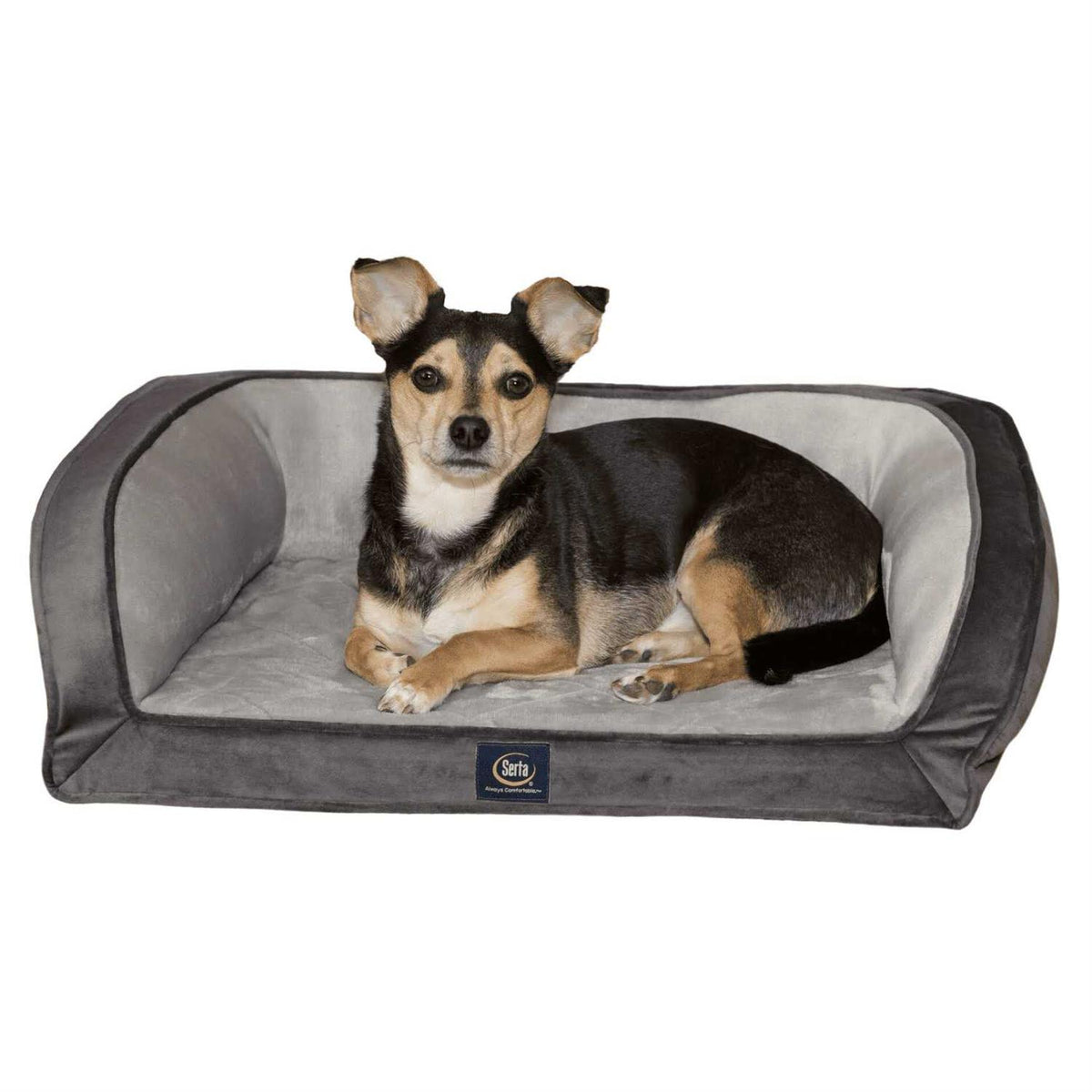 Quilted Gel Memory Foam Dog Bed F1705