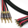 Speaker Cable 4 Spade to 4 Banana J2600