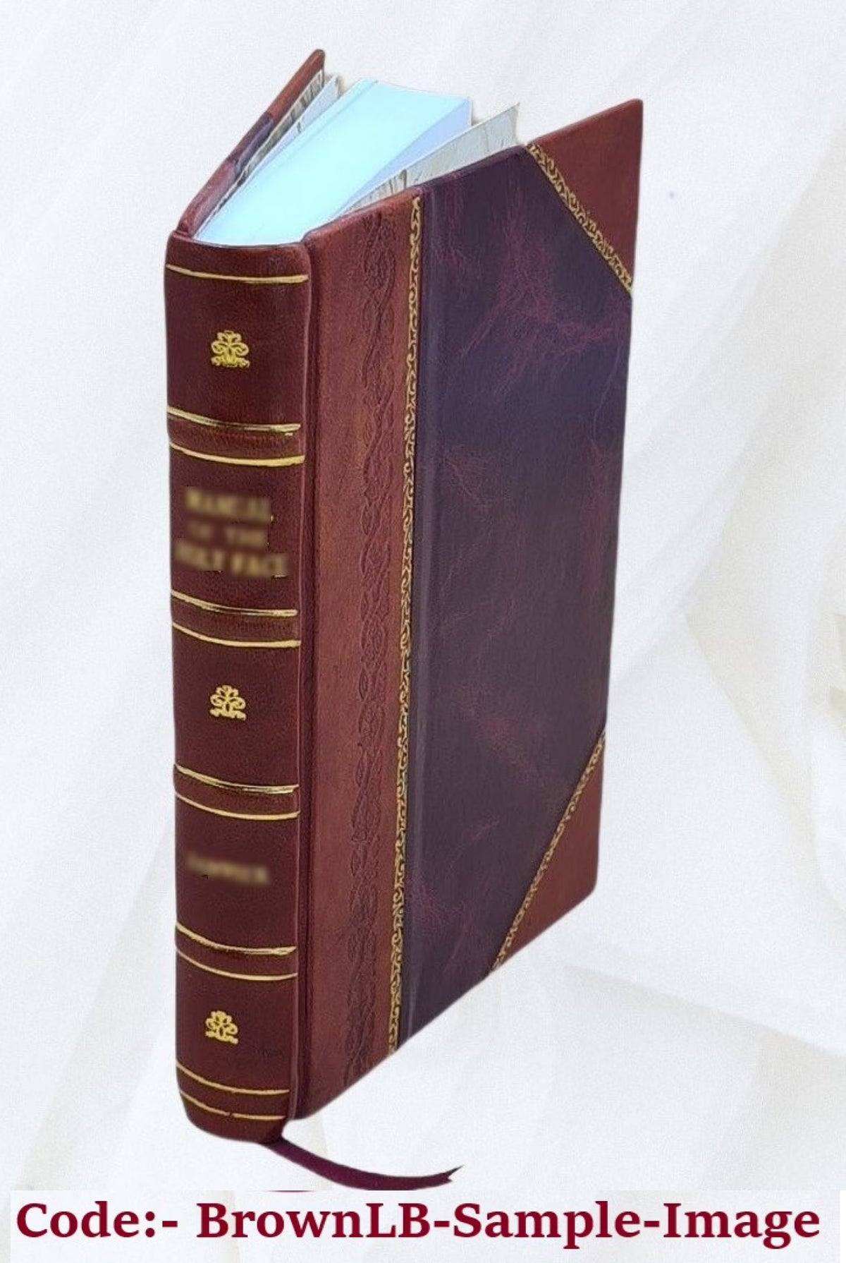 Leather Bound Book V896328