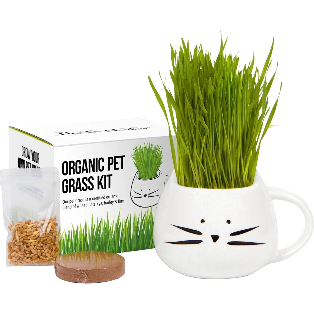 Organic Cat Grass Kit with Seed Mix and Soil Q324976