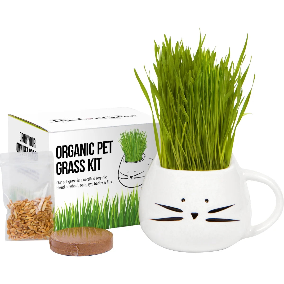 Organic Cat Grass Kit with Seed Mix and Soil Q324976