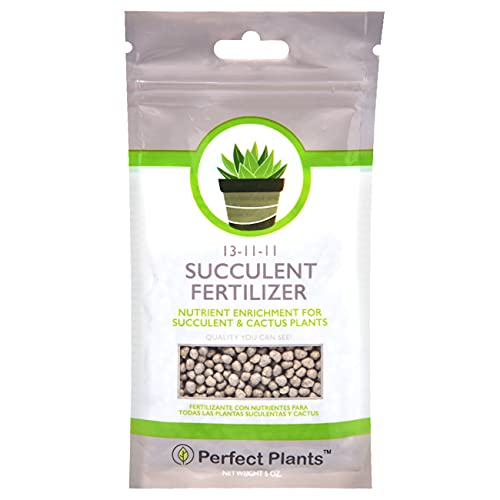5 oz Succulent and Cactus Fertilizer D106