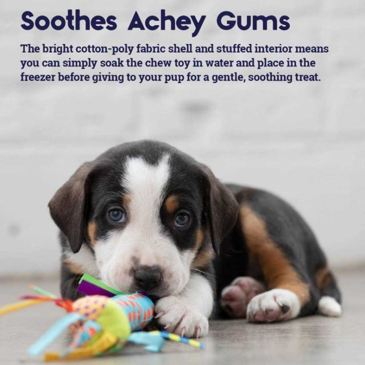 Cool Teething Stick Dog Toy R79594