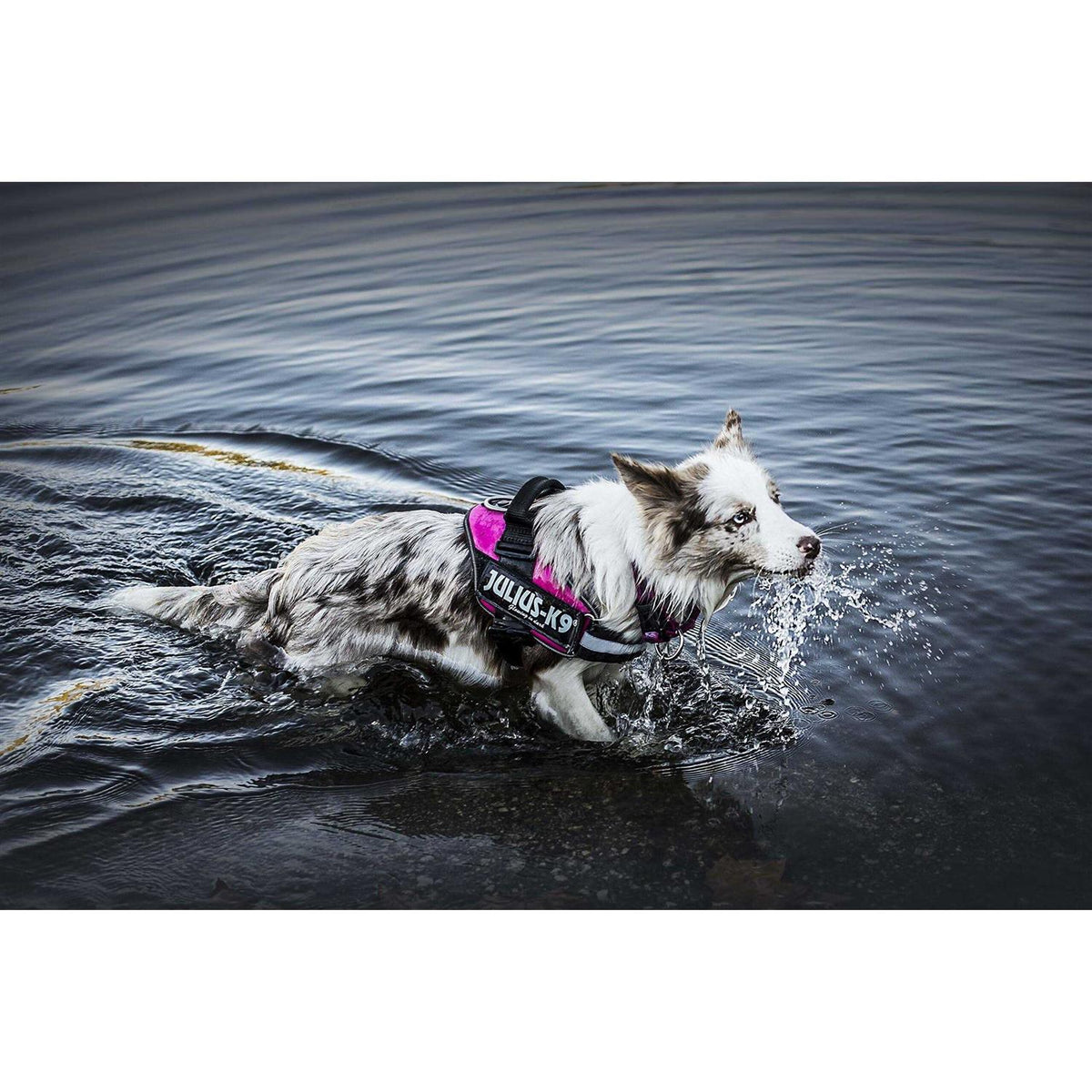 Powerharness S7537