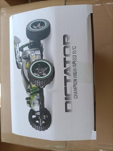 1:18 2WD RC Buggy Blue L9227