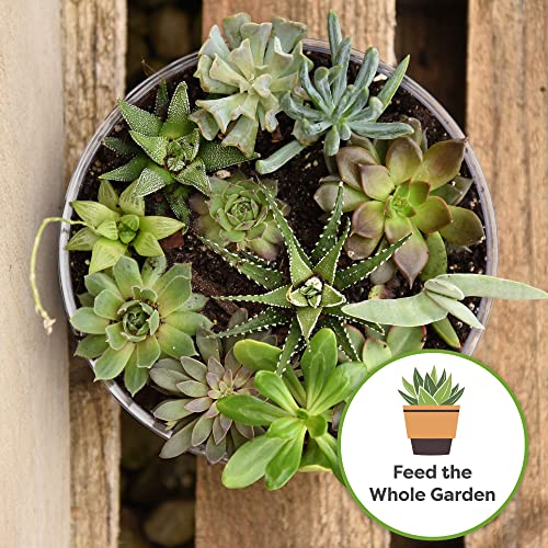 5 oz Succulent and Cactus Fertilizer D106