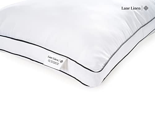 King Size Set of 2 White Down Alternative Pillows T73451