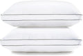 King Size Set of 2 White Down Alternative Pillows T73451