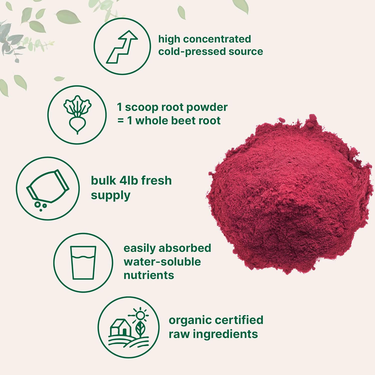 Organic Beet Root Powder, 4 Pounds I9914