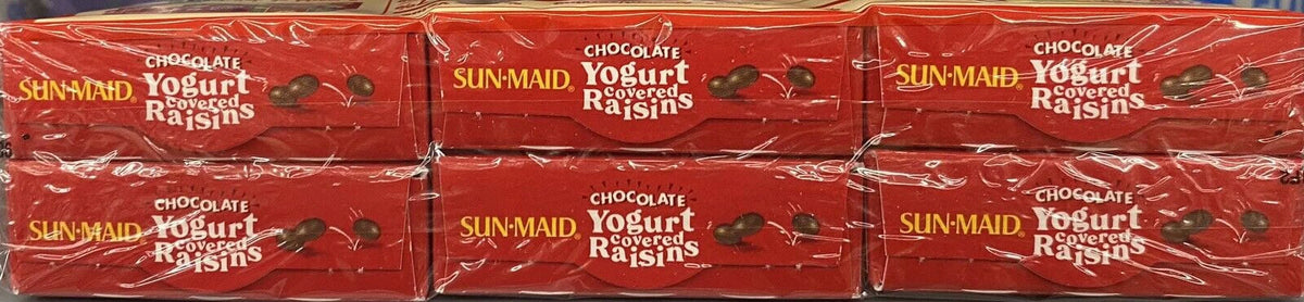 6 Pack Chocolate Yogurt Covered Raisins E64798