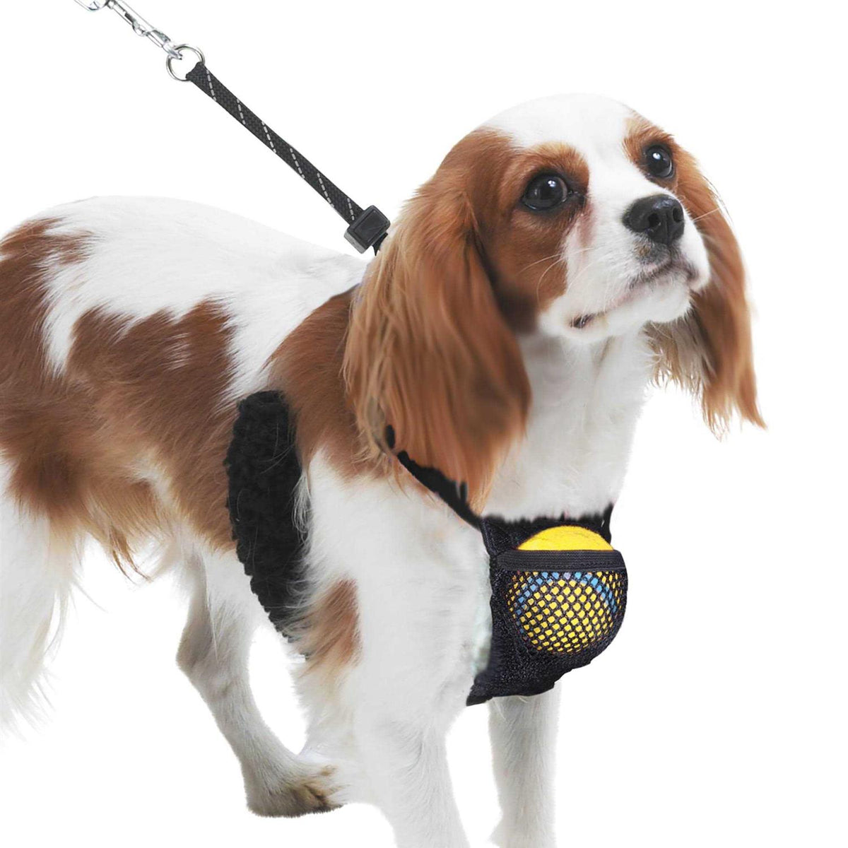 Nylon Mesh Non-Pulling Dog Harness X5010
