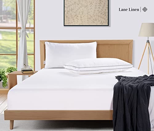 King Size Set of 2 White Down Alternative Pillows T73451