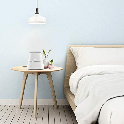 Queen Water Heated Mattress Pad Z826