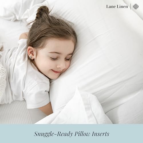 King Size Set of 2 White Down Alternative Pillows T73451