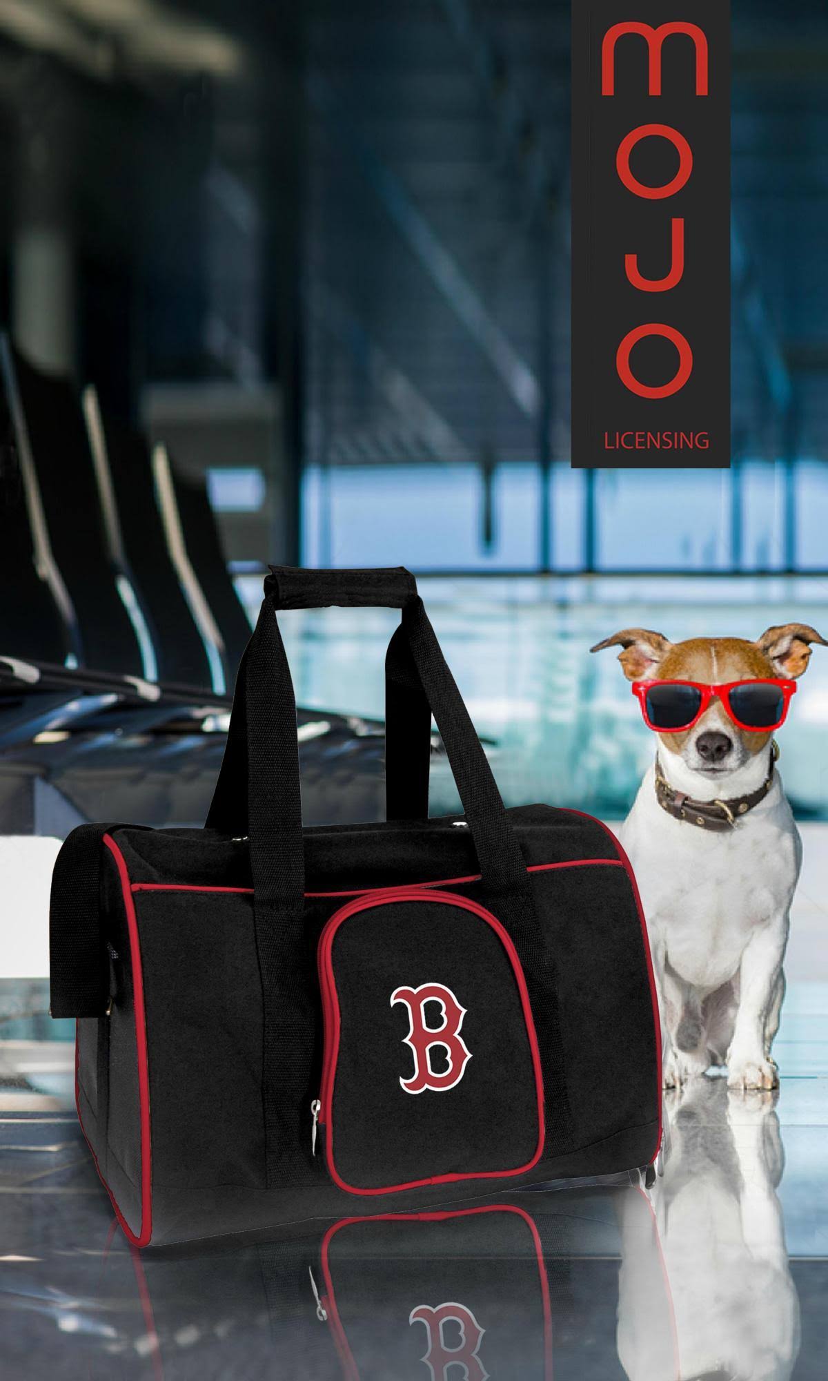 Black 16 in. Pet Carrier Q639