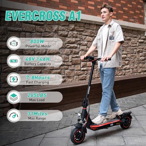 800W Electric Scooter with 10'' Honeycomb Solid Tires Y4113