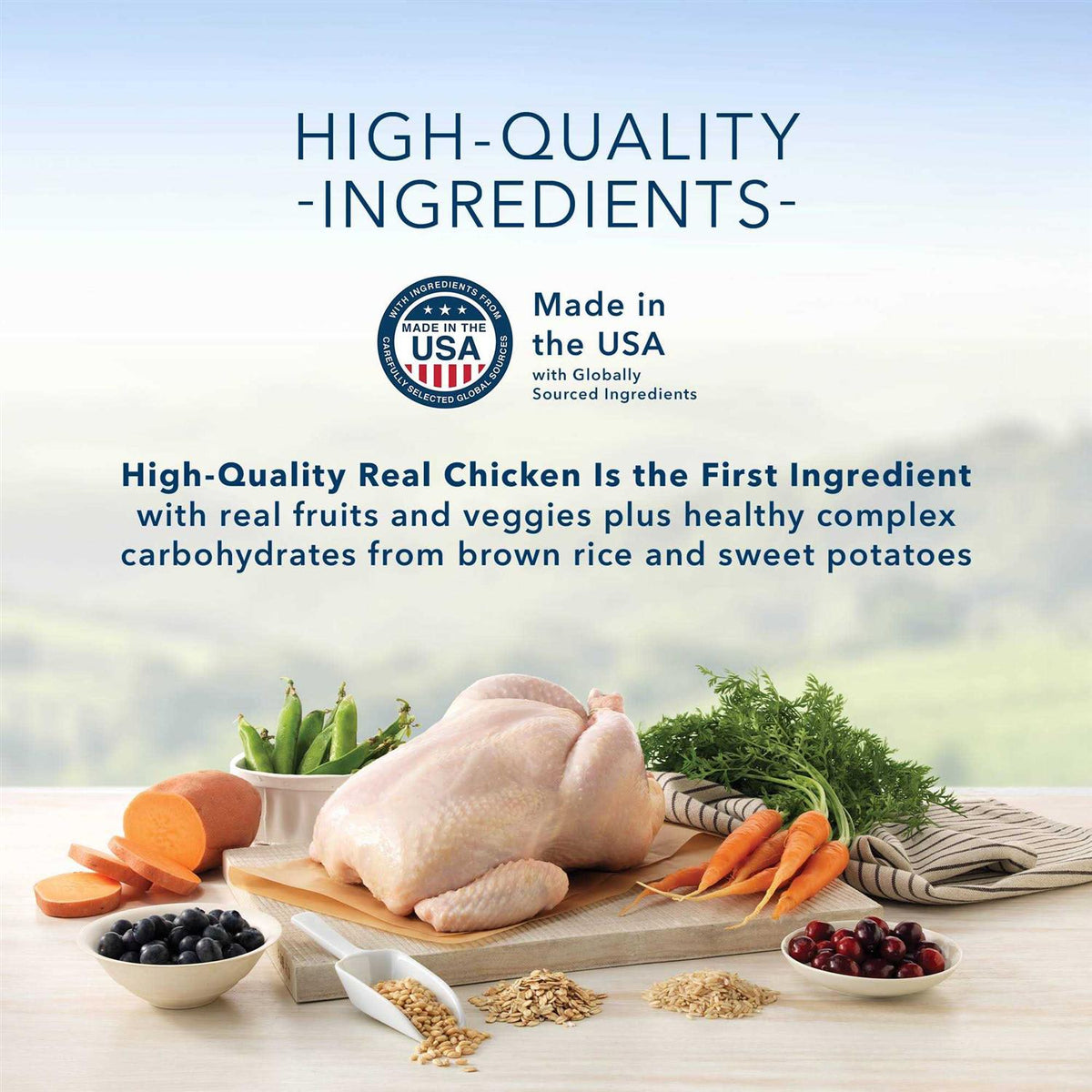 Natural Chicken and Brown Rice Dry Dog Food O651