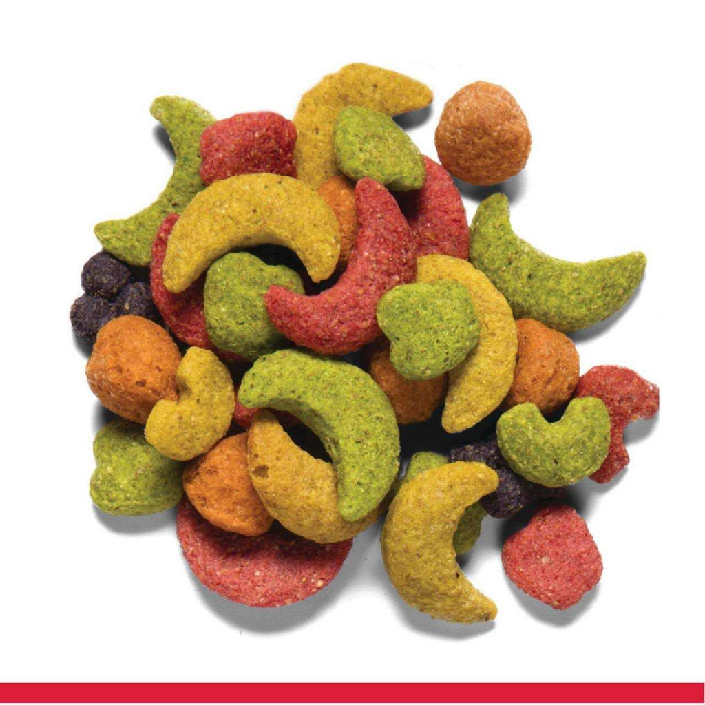 FruitBlend Flavor Bird Food Large O435492