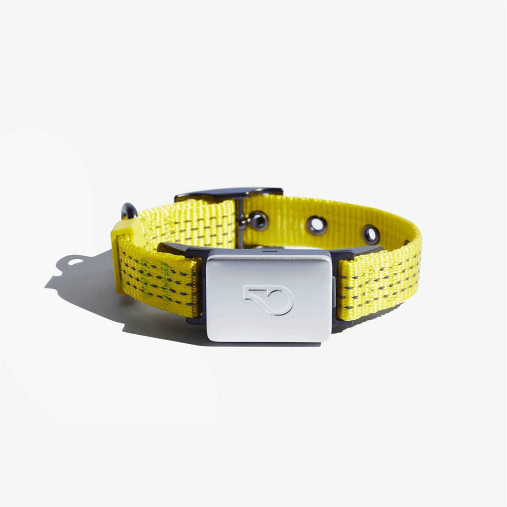 Smart Collar Kit GPS location Health & Fitness J711475