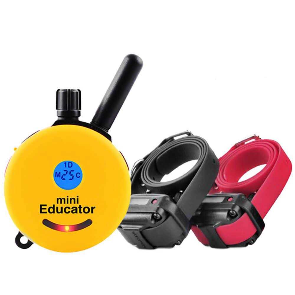 Dog Collar Remote Z980726