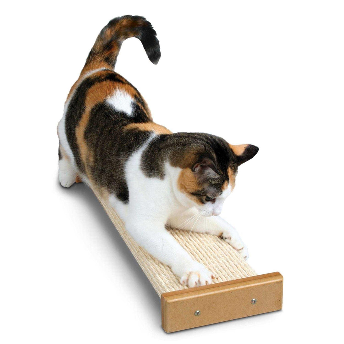 Cat Scratcher W114