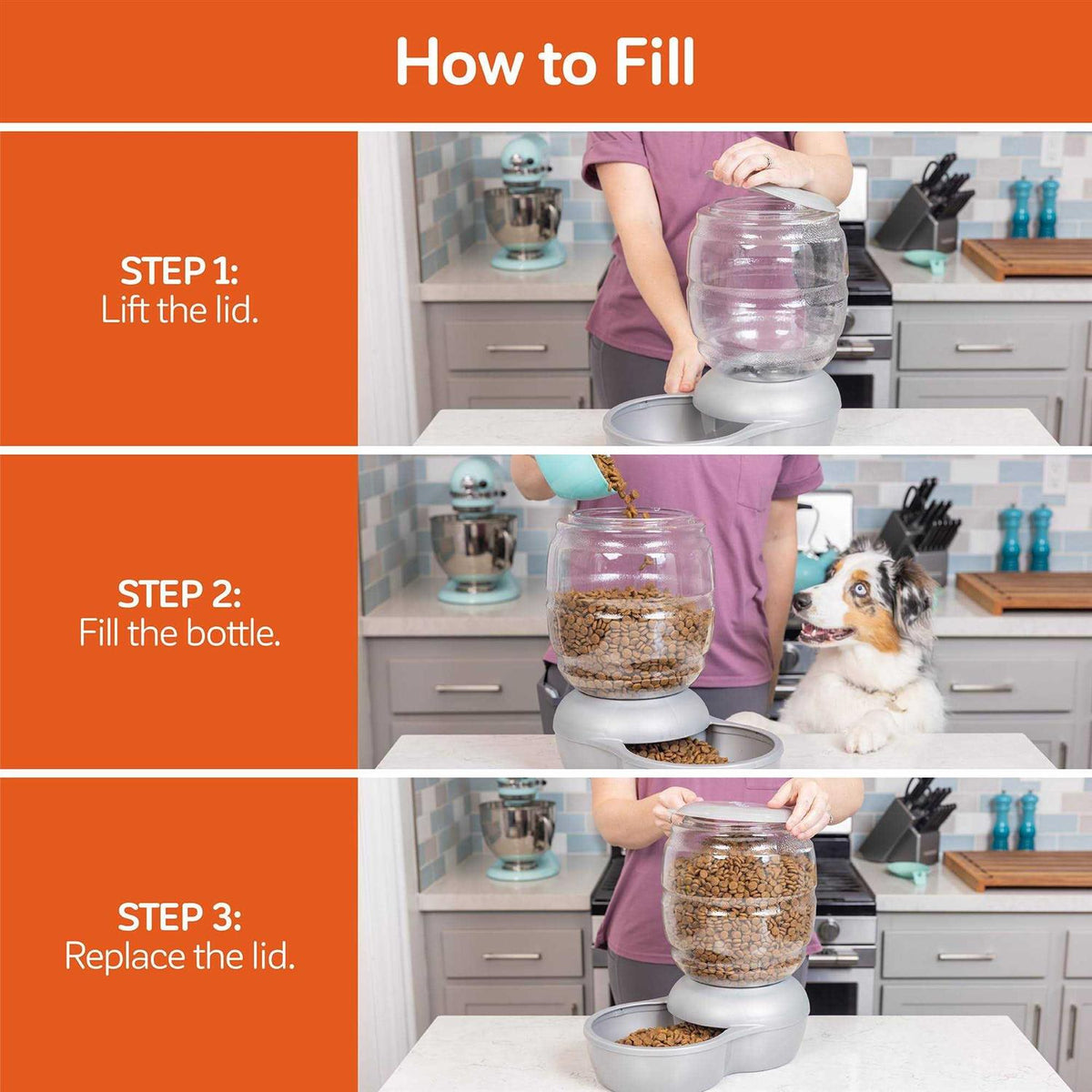 Pet Feeder Q2946