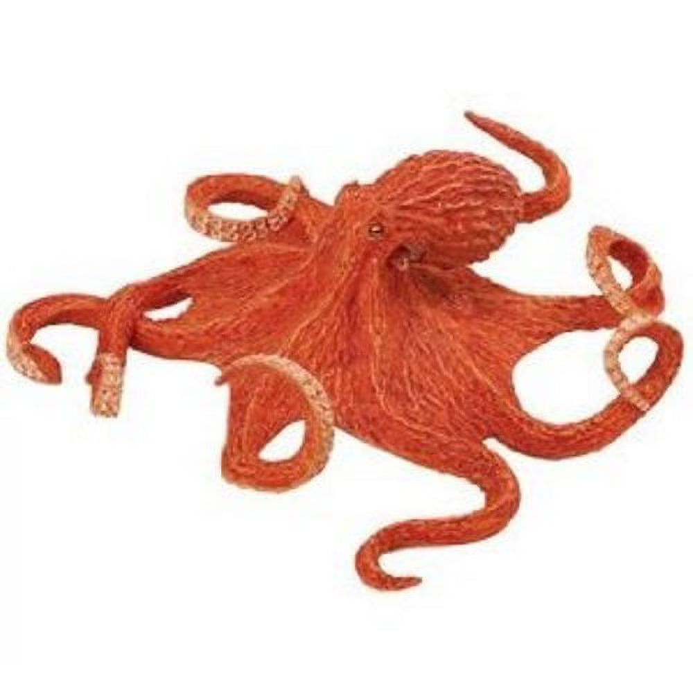 Giant Pacific Octopus X64214
