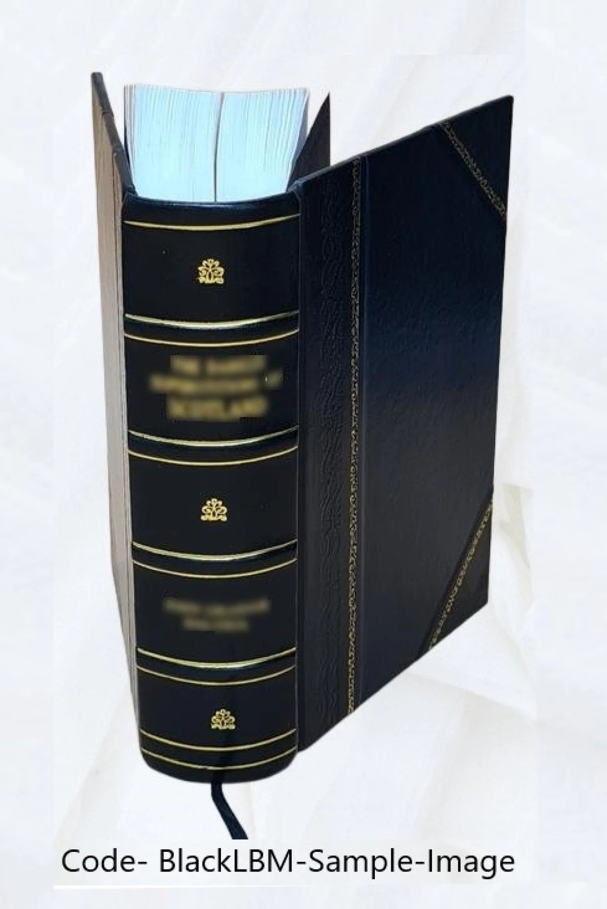 Leather Bound Book M3521